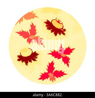 Eine lebendige Komposition mit bunten Herbstblättern und zarten Blüten, angeordnet in einem kreisförmigen Muster vor einem weichen Hintergrund. Die warmen Rot- und Orangentöne erinnern an einen saisonalen Übergang und organische Schönheit. Klassische Kunst mit modernem Touch, neu interpretiert von Artotop, transformierte französische Stoffe, erste Hälfte des 19. Jahrhunderts Stockfoto