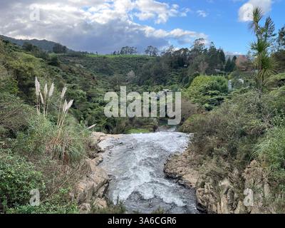 Der Fluss strömt über die Klippen im neuseeländischen Busch Stockfoto