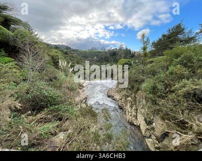 Der Fluss strömt über die Klippen im neuseeländischen Busch Stockfoto