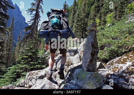 28. Juli 2008 – gelegentliche steinhügel, die von früheren Wanderern hinterlassen wurden, sind die einzigen Wegmarkierungen zum Eagle Lake. Der Bushwhack im Hinterland zum Eagle Lake wird als Fisherman's Trail bezeichnet, Code für „viel Glück mit dem“. Der Wanderer Chuck Schmidt von Olympia klettert mit einem voll beladenen Rucksack zum See. Er wurde mit einem Fang von drei Regenbogen- und Cutthroat-Forelle belohnt. (Steve Ringman/Seattle Times/MCT) (Kreditbild: © Steve Ringman/MCT/ZUMAPRESS.com) Stockfoto