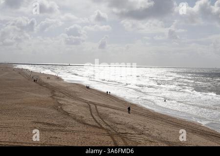 Fast leerer Strand und Nordsee beleuchtet von der Sonne im April in der Nähe von Scheveningen (Niederlande) Stockfoto