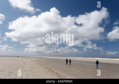 Drei Personen spazieren entlang der Küste an den breiten Stränden unter einem dramatischen Himmel südlich von Scheveningen (Niederlande) Stockfoto