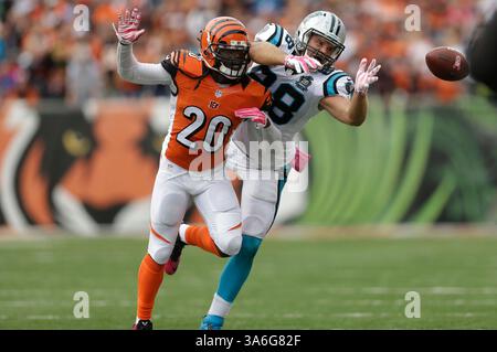 12. Oktober 2014 Cincinnati, OH. Carolina Panthers Tight End Greg Olsen #88 und Cincinnati Bengals kämpfen am 12. Oktober 2014 in Cincinnati, Ohio um den Ball in einem NFL-Spiel im Paul Brown Stadium. Die Panther und die Bengalen haben 37-37 in Überstunden. Margaret Bowles/CSM(Bild: © Margaret Bowles/Cal Sport Media/ZUMAPRESS.com) Stockfoto