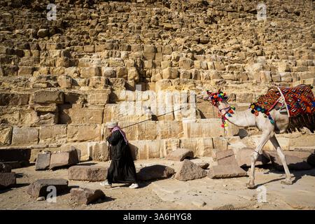 Kamelback in der Nähe der Pyramide von Khafre in Gizeh unter Einem klaren sonnigen Himmel in Ägypten Stockfoto