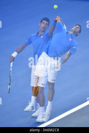 1. Februar 2015 - Melbourne, VICTORIA, AUSTRALIEN - der serbische Novak Djokovic im Finale der Männer gegen den Briten Andy Murray am 14. Tag der Australian Open Tennis in den Ausstellungsgebäuden in Melbourne, Australien (Kreditbild: © Theo Karanikos/ZUMA Wire) Stockfoto