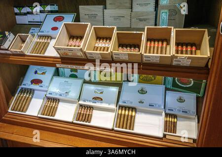 Philipsburg Sint St. Saint Maarten, Front Street, Cigar Emporium, Habanos, autorisierter kubanischer Zigarrenhändler, Tabakladen, Zigarrengeschäft, Innenausstattung Stockfoto