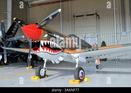 Curtiss P-40M Warhawk, ein klassischer Kämpfer aus dem 2. Weltkrieg mit CBI-Markierungen Stockfoto