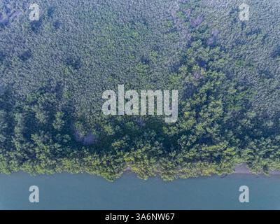 Ein Blick aus der Vogelperspektive auf die Sundarbans an einem nebeligen Tag, der den größten Mangrovenwald der Welt in Bagerhat, Bangladesch, zeigt. Stockfoto