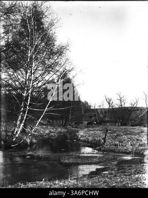 Dieses Foto zeigt Kühe, die friedlich am Minnehaha Creek weiden, einer ruhigen und pastoralen Szene in Minneapolis. Das Bild spiegelt die ländliche Landschaft und die natürliche Schönheit der Gegend wider. Stockfoto