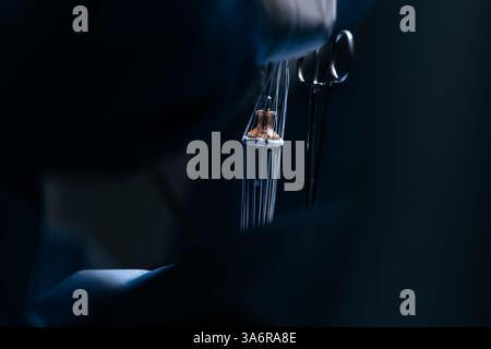 Team erfahrener Chirurgen, die eine komplexe Herzoperation mit voller Konzentration in einem gut beleuchteten Operationssaal durchführen. Technologie in der Kardiologie Stockfoto