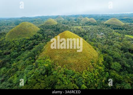 Atemberaubender Blick aus der Vogelperspektive auf die Bohol Chocolate Hills, Philippinen – Ein Naturwunder aus über 1.200 Kalksteinhügeln, perfekt für Reisen, Tourismus und Stockfoto