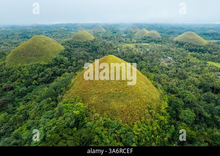 Atemberaubender Blick aus der Vogelperspektive auf die Bohol Chocolate Hills, Philippinen – Ein Naturwunder aus über 1.200 Kalksteinhügeln, perfekt für Reisen, Tourismus und Stockfoto