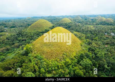 Atemberaubender Blick aus der Vogelperspektive auf die Bohol Chocolate Hills, Philippinen – Ein Naturwunder aus über 1.200 Kalksteinhügeln, perfekt für Reisen, Tourismus und Stockfoto