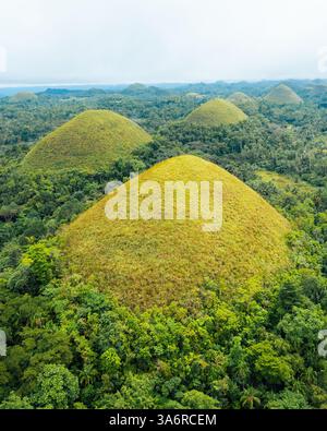 Atemberaubender Blick aus der Vogelperspektive auf die Bohol Chocolate Hills, Philippinen – Ein Naturwunder aus über 1.200 Kalksteinhügeln, perfekt für Reisen, Tourismus und Stockfoto