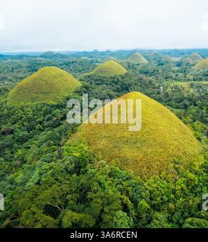 Atemberaubender Blick aus der Vogelperspektive auf die Bohol Chocolate Hills, Philippinen – Ein Naturwunder aus über 1.200 Kalksteinhügeln, perfekt für Reisen, Tourismus und Stockfoto