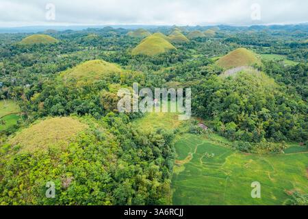 Atemberaubender Blick aus der Vogelperspektive auf die Bohol Chocolate Hills, Philippinen – Ein Naturwunder aus über 1.200 Kalksteinhügeln, perfekt für Reisen, Tourismus und Stockfoto