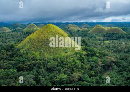 Atemberaubender Blick aus der Vogelperspektive auf die Bohol Chocolate Hills, Philippinen – Ein Naturwunder aus über 1.200 Kalksteinhügeln, perfekt für Reisen, Tourismus und Stockfoto
