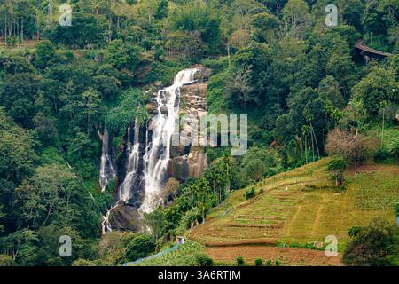 Ein atemberaubender, mehrstufiger Wasserfall stürzt über felsige Klippen in Ella, Sri Lanka, umgeben von üppigem Grün und terrassiertem Ackerland, was eine ruhige Atmosphäre schafft Stockfoto