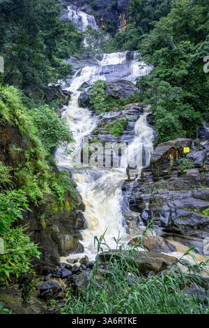 Das Bild zeigt den geheimen Wasserfall in Illukpelessa, Sri Lanka, umgeben von dichtem tropischem Grün. Das Wasser kaskadiert über zerklüftete Felsen in eine Tra Stockfoto