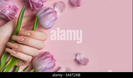 Weibliche Hand mit langen Nägeln mit neutralem beigem nagellack, der eine Tulpenblüte auf rosa Hintergrund hält Stockfoto