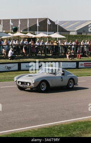 Das Silberne Pferd Stockfoto