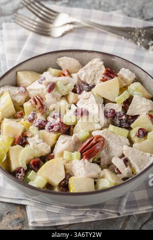 Herbst Hähnchensalat mit knusprigen Äpfeln und Sellerie, pikanten Pekannüssen, süßen Preiselbeeren und einem cremigen Dressing aus nächster Nähe in einer Schüssel auf dem Tisch. Ve Stockfoto
