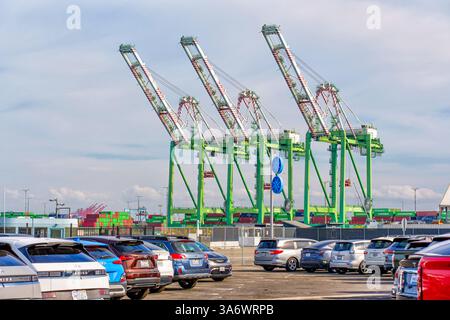 Los Angeles, Kalifornien - 25. Dezember 2024: Drei große grüne Kräne fahren am Hafen von Los Angeles, mit einem Parkplatz voller Autos im Stockfoto
