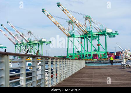 Los Angeles, Kalifornien - 25. Dezember 2024: Lebendiger Blick auf die Evergreen-Portalkrane im Hafen von Los Angeles mit farbenfrohen Containern Stockfoto