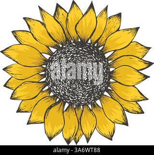 Bunte gelbe Skizze der Sonnenblumenblüte Stock Vektor