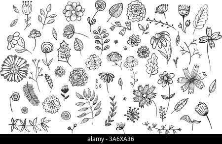 Set aus niedlichen handgezeichneten Tusche Blumen und Kräutern Stock Vektor