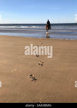 Ein Reiter auf dem Pferd geht zum Meer und hinterlässt Hufabdrücke im nassen Sand eines ruhigen Strandes. Offshore-Windturbinen säumen den Horizont unter einem klaren Licht Stockfoto
