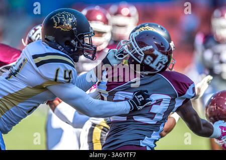 25. Oktober 2014: Houston, Texas, USA: Texas Southern Tigers Defensive Back Michael Holmes (23) Facemark wird von Arkansas-Pine Bluff Golden Lions Wide Receiver Isiah Ferguson (14) während eines NCAA-Fußballspiels zwischen der University of Arkansas at Pine Bluff Golden Lions und den Texas Southern Tigers im BBVA Compass Stadium, Houston, Tx, Tx, gepackt. Arkansas-Pine Bluff Beat TSU 38-37(Bild: © Rudy Hardy/Cal Sport Media/ZUMAPRESS.com) Stockfoto