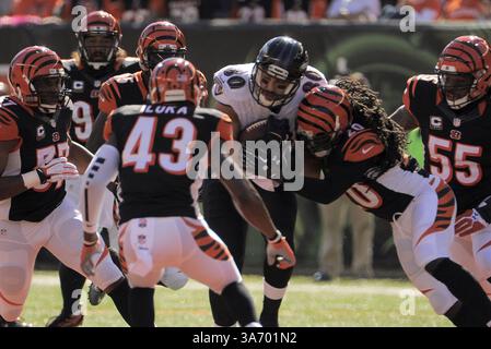 26. Oktober 2014 - Cincinnati, OH, USA - Baltimore Ravens Tight End Crockett Gillmore (80) wird im ersten Quartal Sonntag, 26. Oktober 2014 im Paul Brown Stadium in Cincinnati, Ohio, von Cincinnati Bengals Safety Reggie Nelson getroffen. Die Ravens fielen 27-24. (Bild: © Karl Merton Ferron/TNS/ZUMA Wire) Stockfoto