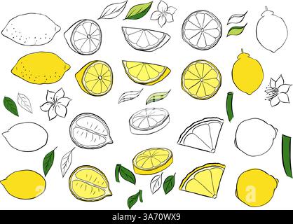 Gelb gefärbte Zitronen und schwarz-weiß Set. Vektor Grafik Linie Tinte exotische saure saftige Frucht. Zitronige Ganzscheiben und Scheiben. Isoliertes Obstset für Banner Stock Vektor