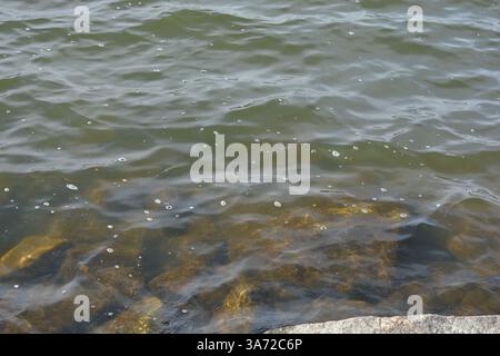 Große Steine, brauner und grauer Granit befinden sich am Ufer und am Boden des Stausees. Die Bucht, das Ufer, die Küste befindet sich in der finnischen Stadt Espoo. Stockfoto