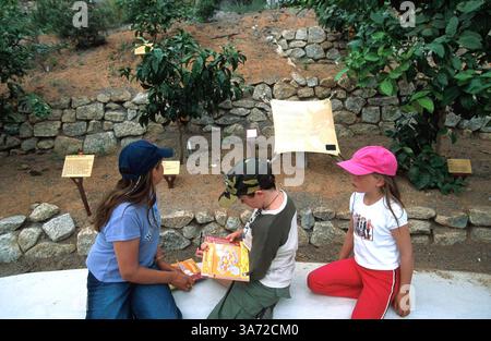 Januar 2011 - K33395 EDEN-PROJEKT, GROSSBRITANNIEN. KINDER MIT LERNPAKET SUCHEN NACH ANTWORTEN IM WARM GEMÄSSIGTEN BIOM. PAUL QUAYLE/ 2003(Bild: © Globe Photos/ZUMAPRESS.com) Stockfoto