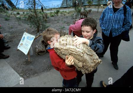 Januar 2011 - K33395 EDEN-PROJEKT, GROSSBRITANNIEN. TESTEN SIE DIE LEICHTIGKEIT DIESES KORKS IM WARM-GEMÄSSIGTEN BIOM. PAUL QUAYLE/ 2003(Bild: © Globe Photos/ZUMAPRESS.com) Stockfoto