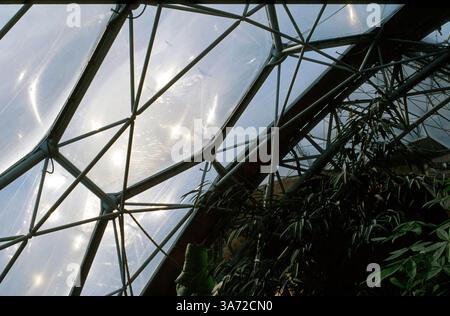 Januar 2011 - K33395 EDEN-PROJEKT, GROSSBRITANNIEN. IM FLAGGSCHIFF DES FEUCHTEN TROPEN-BIOMS. PAUL QUAYLE/ 2003(Bild: © Globe Photos/ZUMAPRESS.com) Stockfoto
