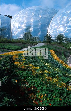 Januar 2011 - K33395 EDEN-PROJEKT, GROSSBRITANNIEN. FARBENFROHE GÄRTEN MIT FEUCHTEN TROPENBIOMEN IM HINTERGRUND. PAUL QUAYLE/ 2003(Bild: © Globe Photos/ZUMAPRESS.com) Stockfoto