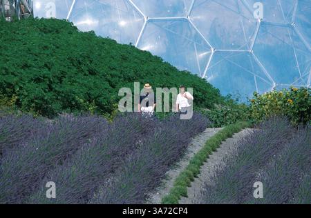Januar 2011 - K33395 EDEN-PROJEKT, GROSSBRITANNIEN. BESUCHER UNTER DEM LAVENDEL MIT FEUCHTEN TROPENBIOMEN IM HINTERGRUND. PAUL QUAYLE/ 2003(Bild: © Globe Photos/ZUMAPRESS.com) Stockfoto