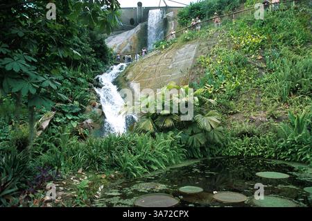 Januar 2011 - K33395 EDEN-PROJEKT, GROSSBRITANNIEN. WASSERFALL IM FEUCHTEN TROPENBIOM. PAUL QUAYLE/ 2003(Bild: © Globe Photos/ZUMAPRESS.com) Stockfoto