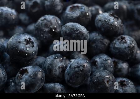 Nahaufnahme der frische Heidelbeeren mit Wasser Tropfen Stockfoto