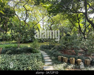 Ein schöner Gartenweg mit Steintreppen führt durch eine üppige, grüne und pulsierende Landschaft. Stockfoto