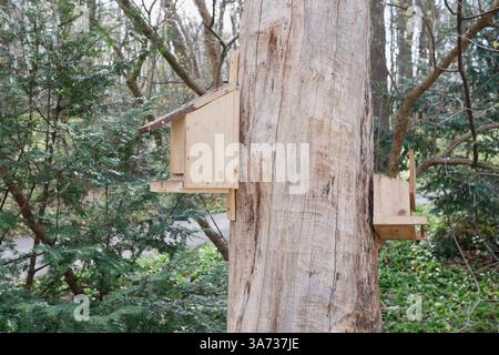 Zwei Futterhäuschen hängen an einem Baum im Potzleinsdorfer Schlosspark in Wien. Stockfoto