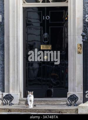 London, Großbritannien. März 2025. Larry, die Katze an der Tür der Downing Street 10. Quelle: Karl Black/Alamy Live News Stockfoto