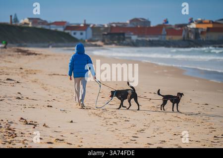 Frau, die mit ihren spielenden Hunden am Strand von Peniche, Portugal, läuft Stockfoto