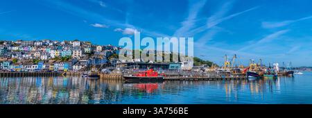 Brixham Devon Panoramablick auf den Hafen Fischmarkt und Häuser auf einem Hügel mit blauem Meer und Himmel UK Stockfoto