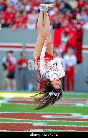 10. November 2012: Raleigh, North Carolina, USA: North Carolina State Wolfpack Cheerleader während des heutigen Spiels. NC State besiegt Wake Forest 37-6 im Carter-Finley Stadium in Raleigh, North Carolina. (Bild: © Anthony Barham/ZUMAPRESS.com) Stockfoto