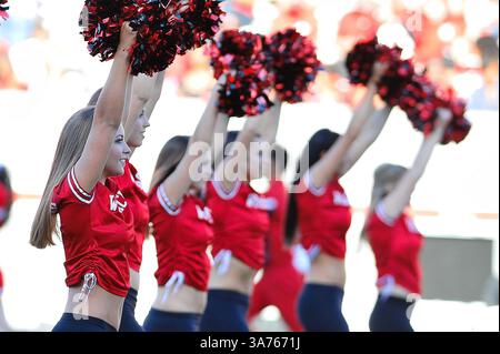 10. November 2012: Raleigh, North Carolina, USA: Die Tänzer des North Carolina State Wolfpack während des heutigen Spiels. NC State besiegt Wake Forest 37-6 im Carter-Finley Stadium in Raleigh, North Carolina. (Bild: © Anthony Barham/ZUMAPRESS.com) Stockfoto