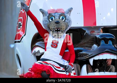 10. November 2012: Raleigh, North Carolina, USA: North Carolina State Wolfpack Maskottchen während des heutigen Spiels. NC State besiegt Wake Forest 37-6 im Carter-Finley Stadium in Raleigh, North Carolina. (Bild: © Anthony Barham/ZUMAPRESS.com) Stockfoto